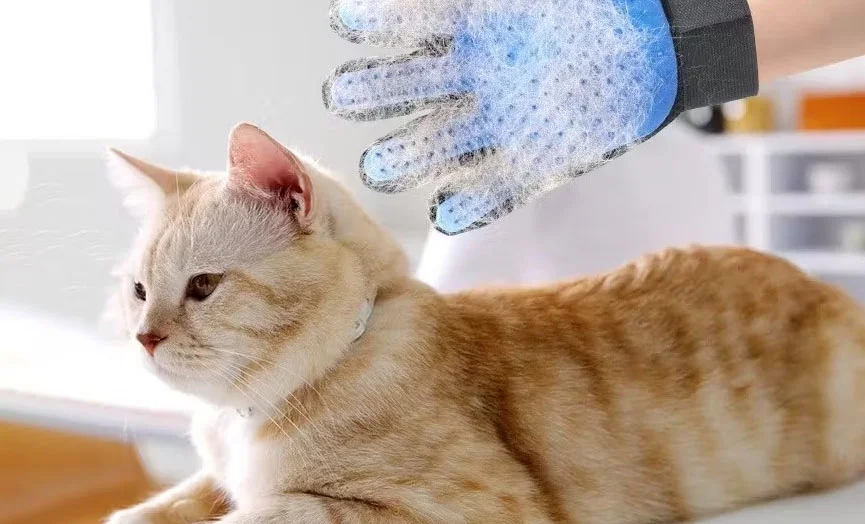 Pet Fur Remover Glove