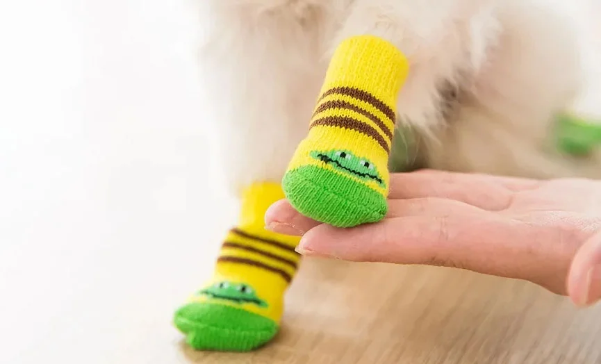 Adorable Dog Socks Set of 4
