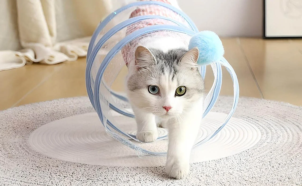 Crinkle Cat Tunnel for Sensory Play