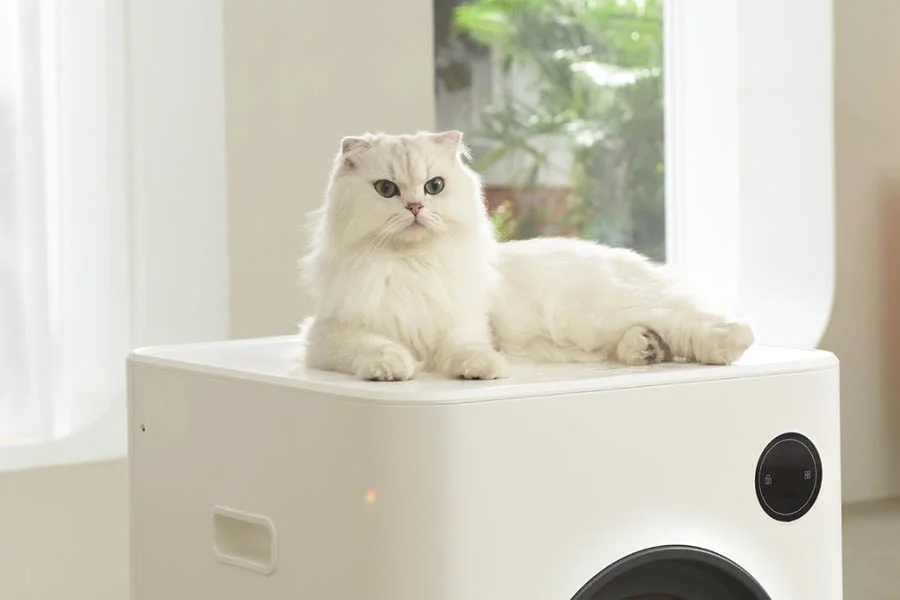 best multi cat automatic litter box