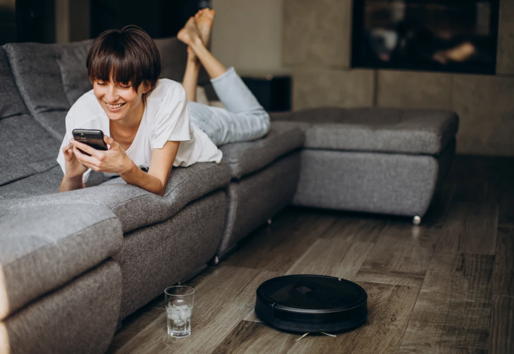 self cleaning vacuum robot