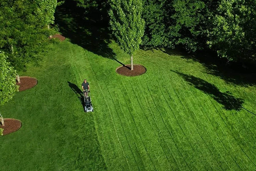 small yard mower