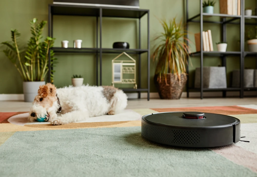 robotic vacuum cleaner and mop